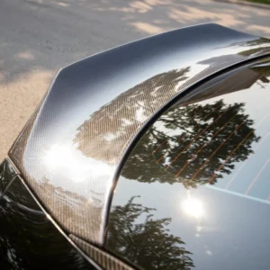 Carbon Fiber Version 2 Duckbill